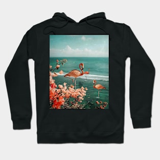 Flamingo Beach Hoodie